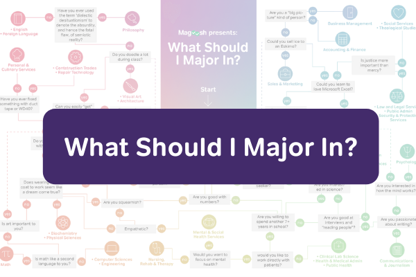 What should i major in